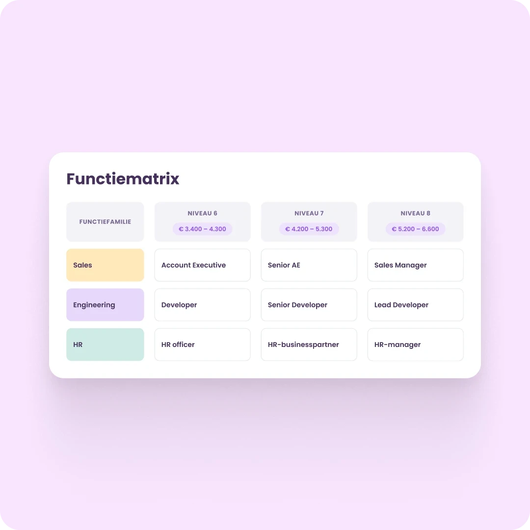 Functiematrix met functiefamilies, niveaus en salarisbandbreedtes