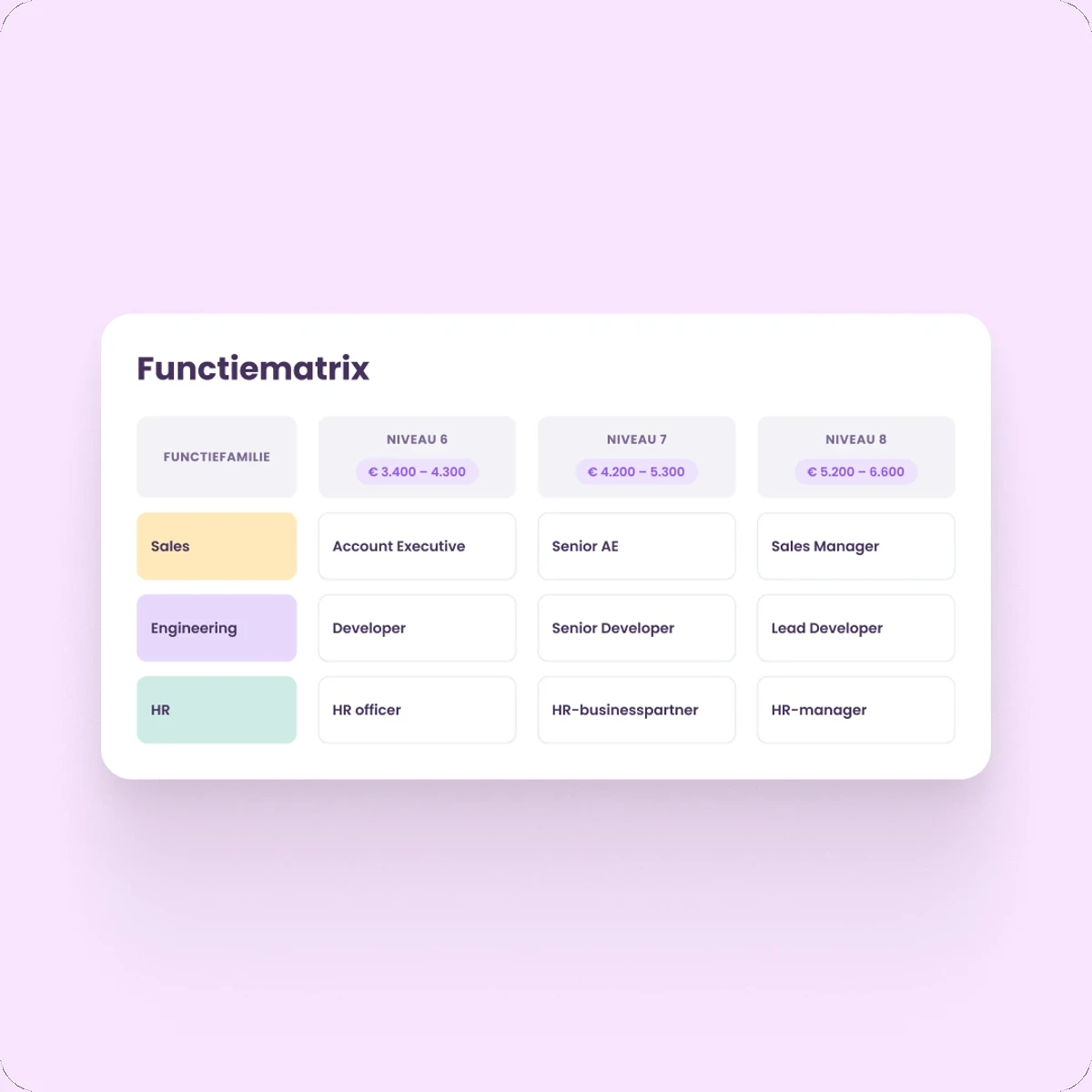 Functiematrix met functiefamilies, niveaus en salarisbanden