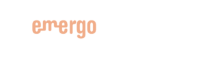 Customer Case-Emergo-Learned